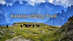 Kalalau hiking trail